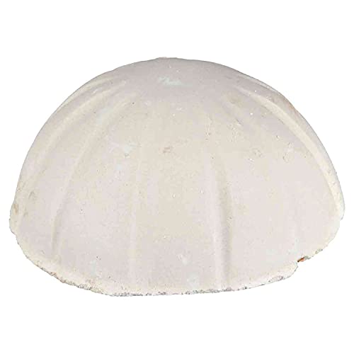 TRIXIE Os à Mâcher Durable pour Chien – Lot de 2 x 60g, Nettoyage des Dents et Enrichissement 🐾